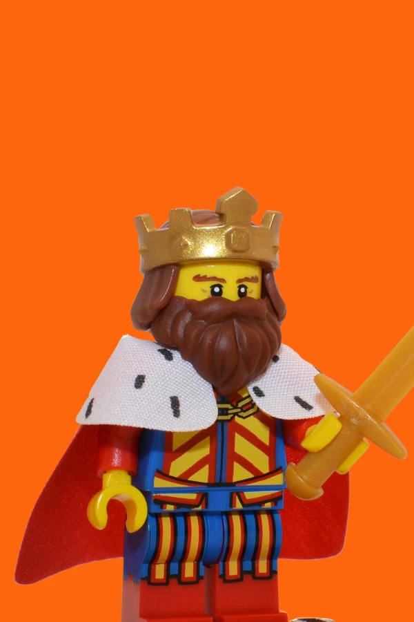 Thema LEGO online speelgoedwinkel